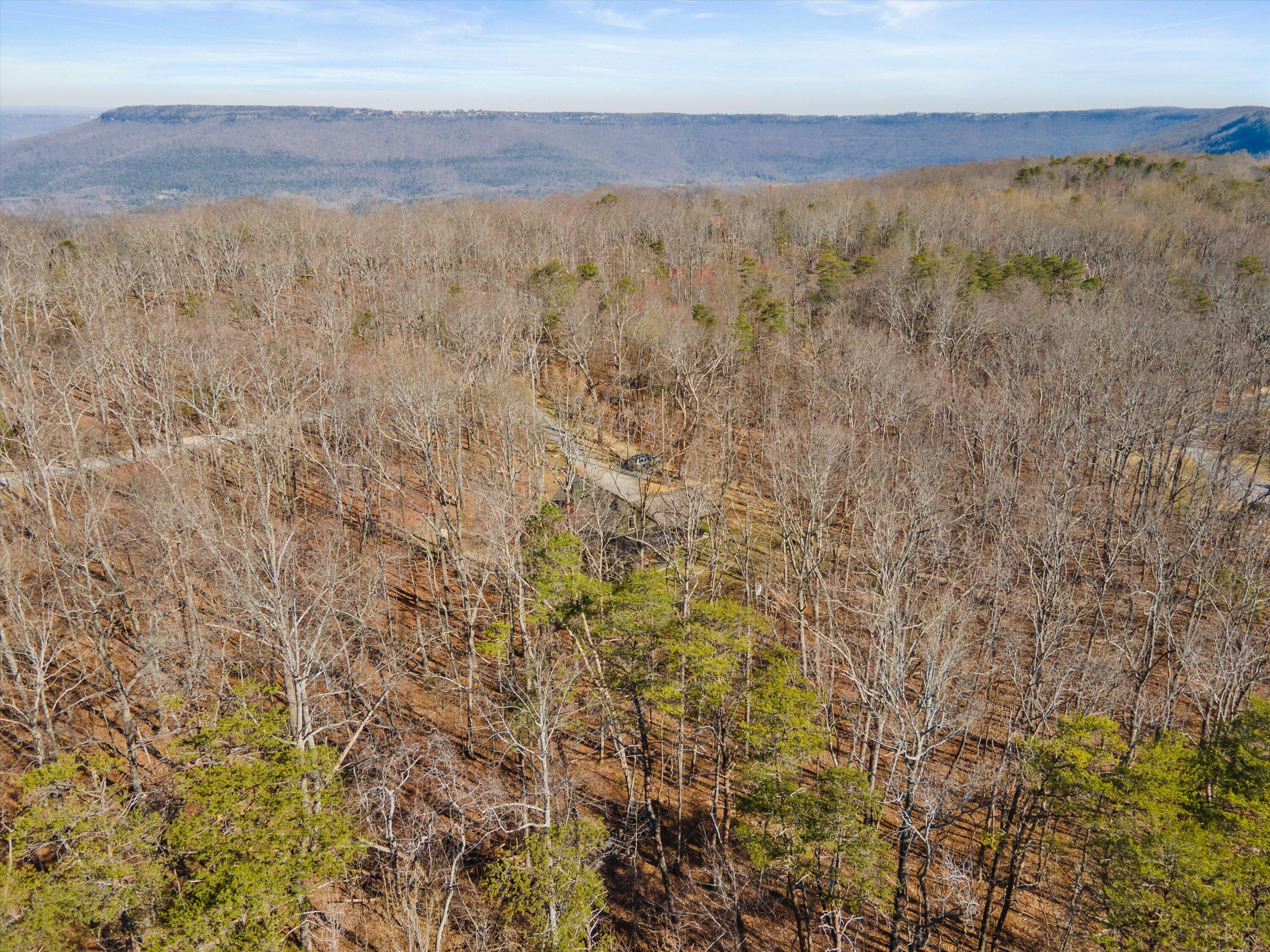 171 West Bluff Road Menlo, GA 30731 - Photo 36 of 43 37-171 W Bluff Rd Aerial-03