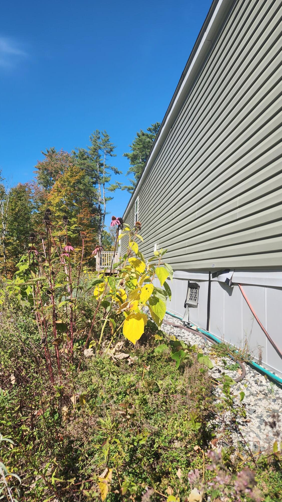 154 Staples Road Newfield, ME 04095 - Photo 10 of 11 Back side