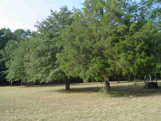 214 Paulan Road Williamston, SC 29697 - Photo 5 of 9