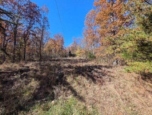 Lot 8 Raenne Dr Spring Spring City, TN 37381 - Photo 4 of 4 View of Land
