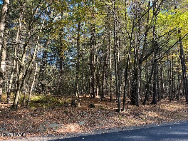 Lot 36 Fox Road Bushkill, PA 18324 - Photo 3 of 10