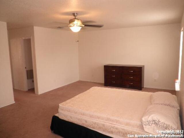 9611 Copper Falls Converse, TX 78109 - Photo 11 of 19