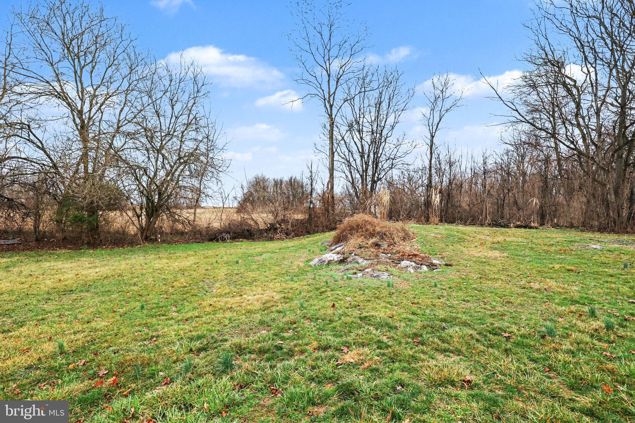 109 Adams Road Carlisle, PA 17015 - Photo 24 of 29 a view of a field with large trees