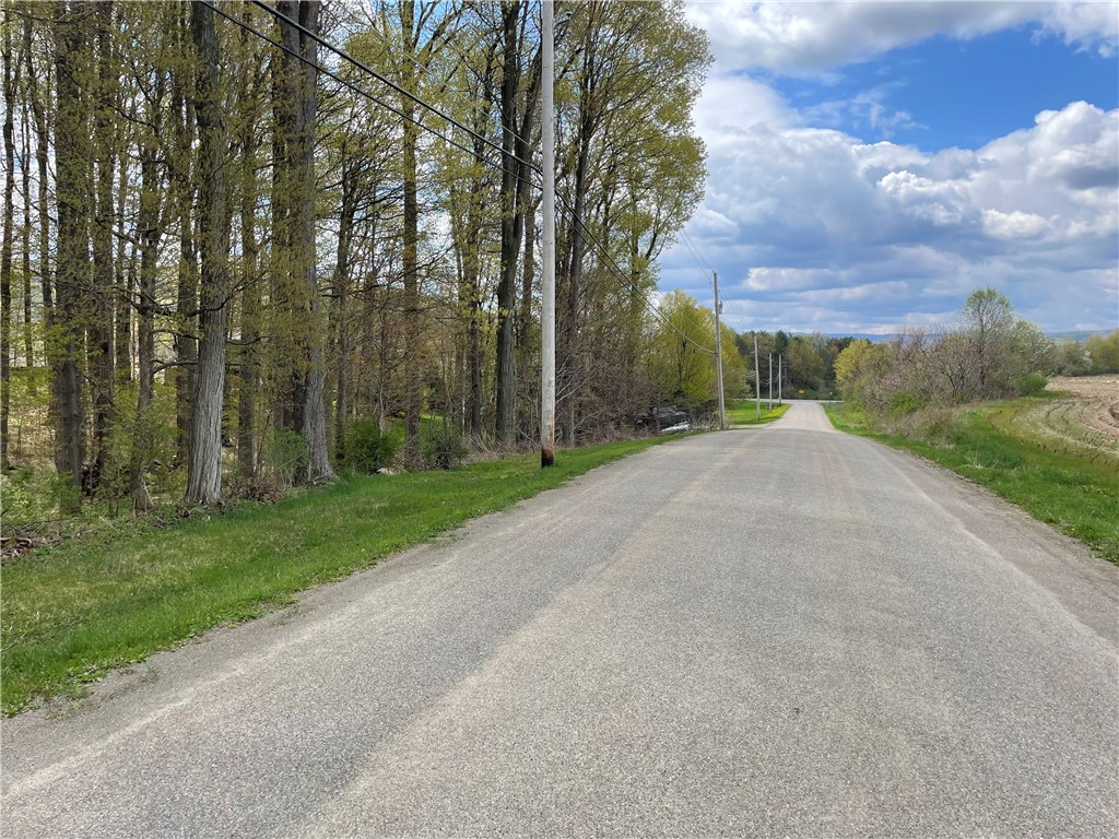 0 Bills Road Hornell, NY 14843 - Photo 1 of 17