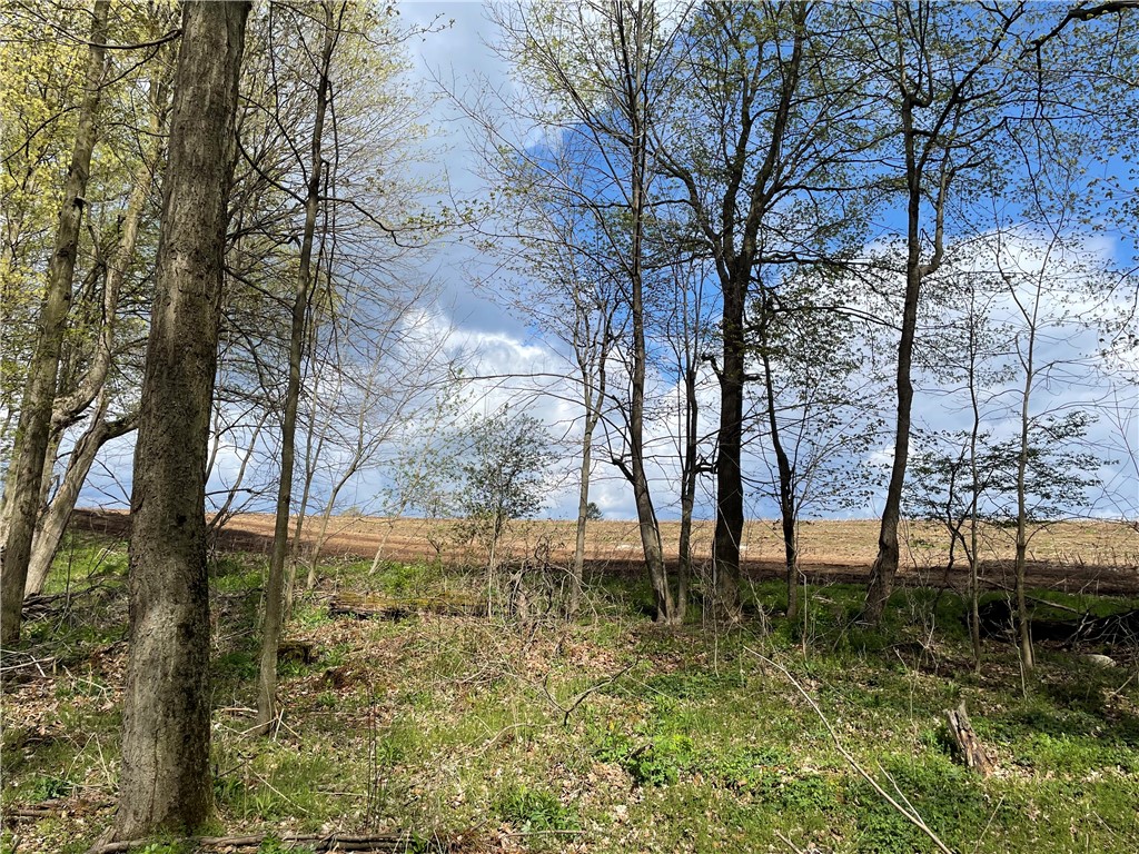 0 Bills Road Hornell, NY 14843 - Photo 11 of 17