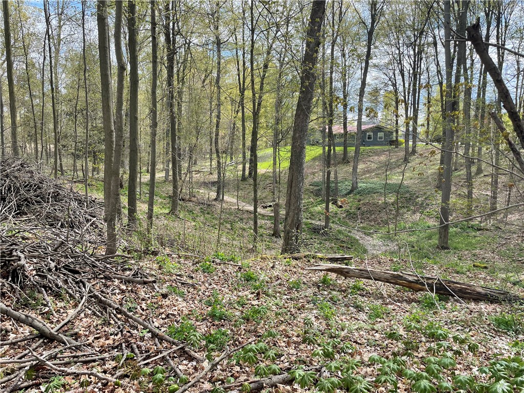 0 Bills Road Hornell, NY 14843 - Photo 12 of 17