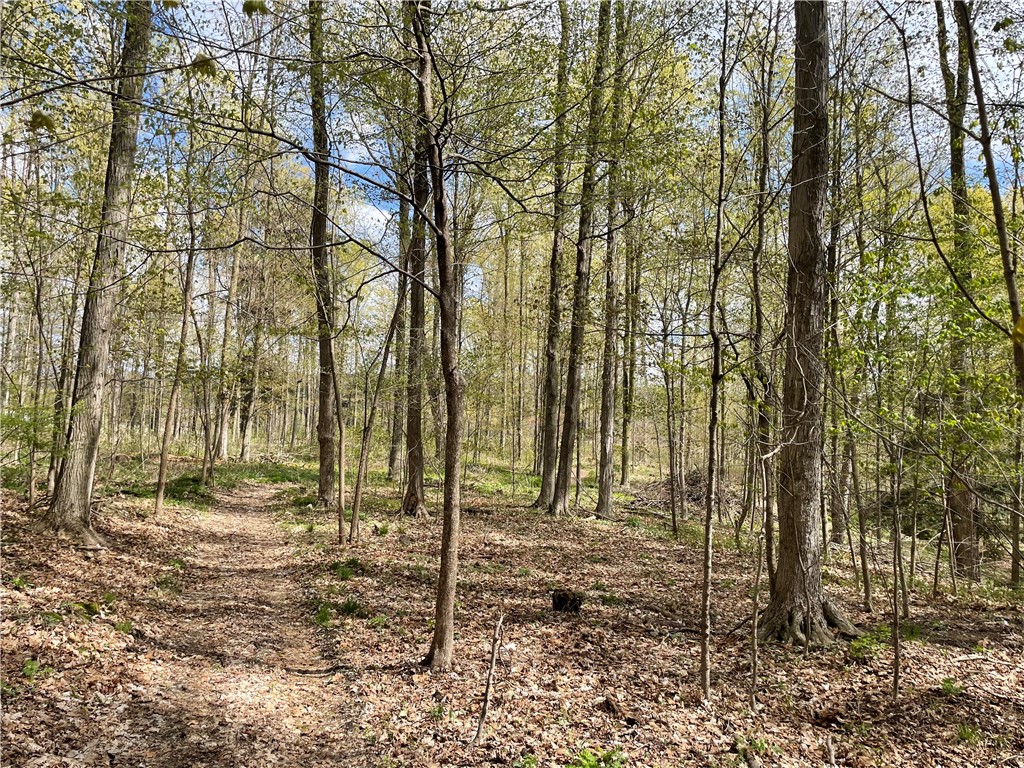 0 Bills Road Hornell, NY 14843 - Photo 13 of 17