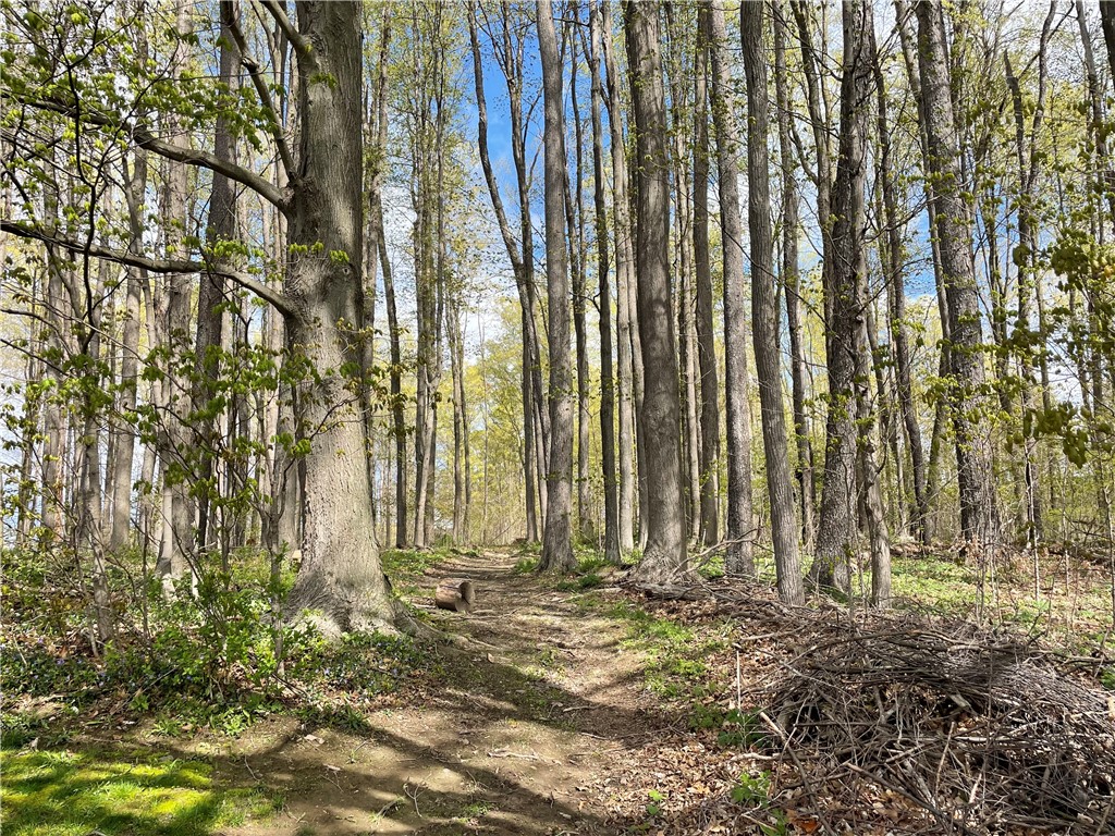 0 Bills Road Hornell, NY 14843 - Photo 14 of 17