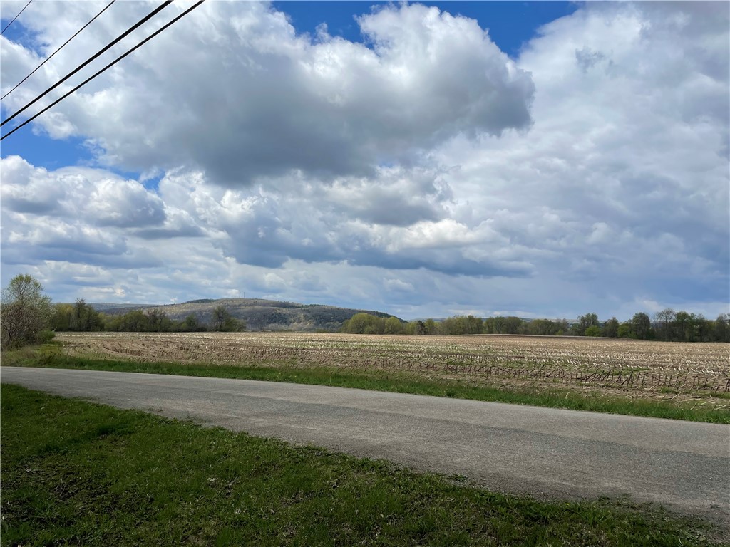 0 Bills Road Hornell, NY 14843 - Photo 15 of 17