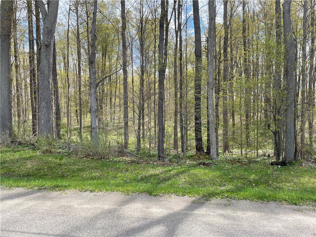 0 Bills Road Hornell, NY 14843 - Photo 2 of 17