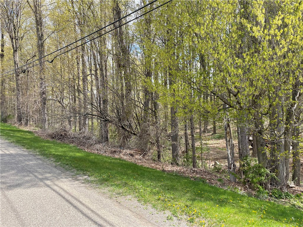 0 Bills Road Hornell, NY 14843 - Photo 3 of 17