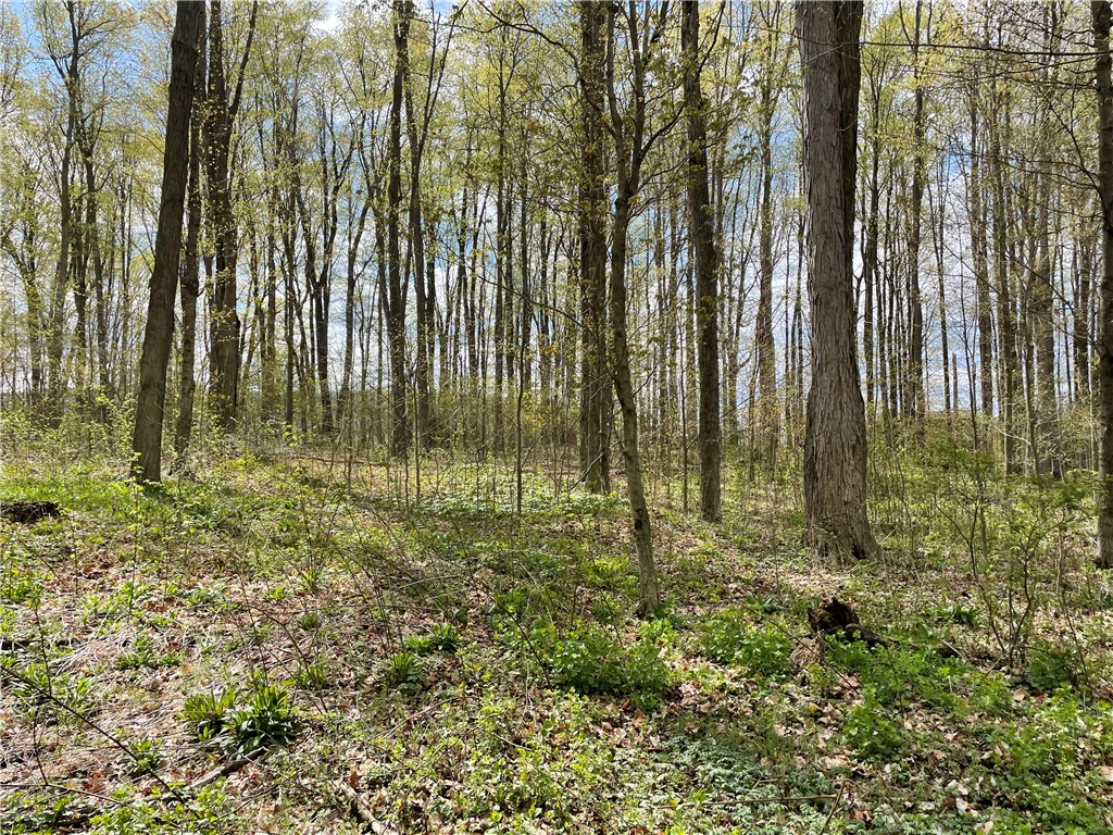 0 Bills Road Hornell, NY 14843 - Photo 4 of 17