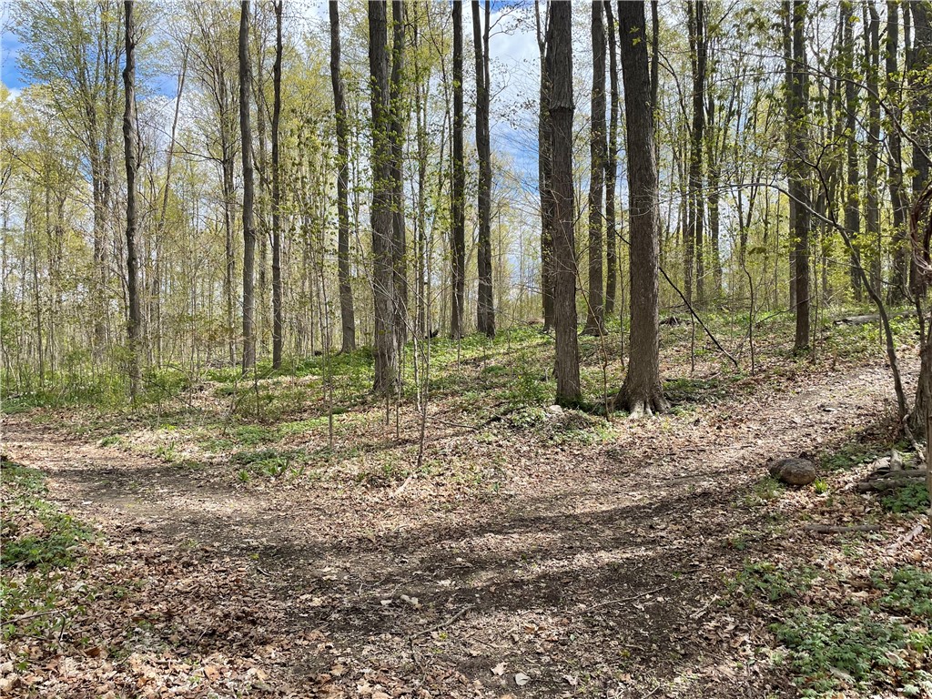 0 Bills Road Hornell, NY 14843 - Photo 5 of 17