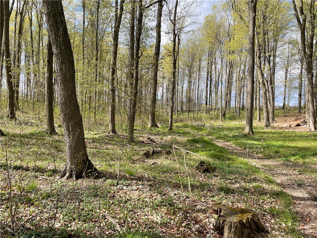 0 Bills Road Hornell, NY 14843 - Photo 6 of 17