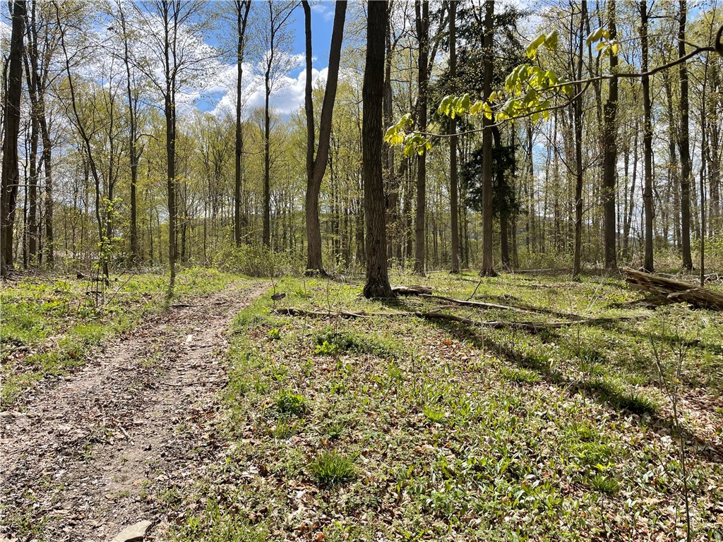 0 Bills Road Hornell, NY 14843 - Photo 7 of 17