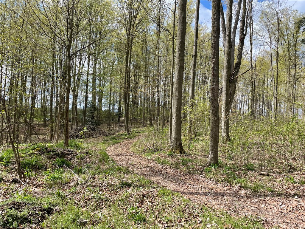 0 Bills Road Hornell, NY 14843 - Photo 8 of 17