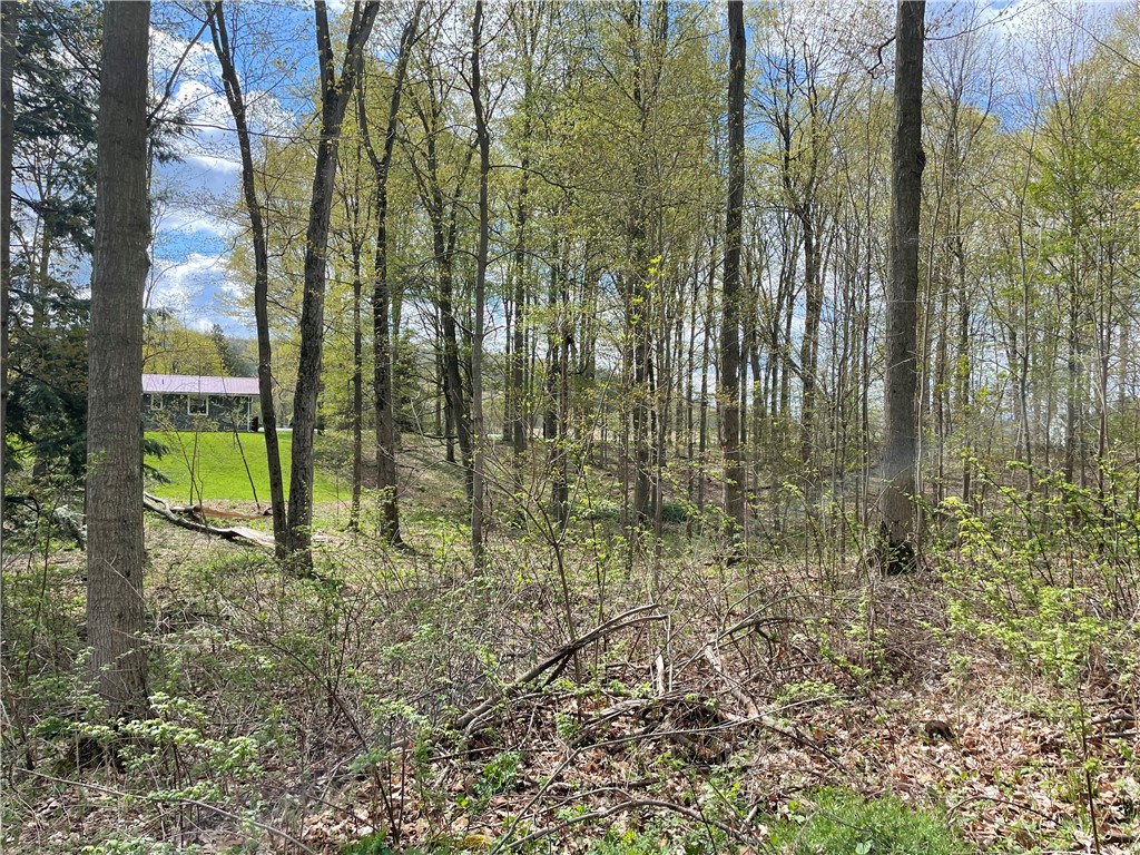 0 Bills Road Hornell, NY 14843 - Photo 9 of 17