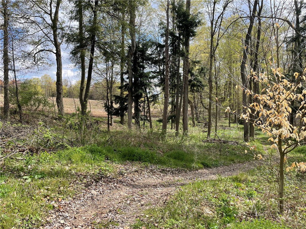 0 Bills Road Hornell, NY 14843 - Photo 10 of 17