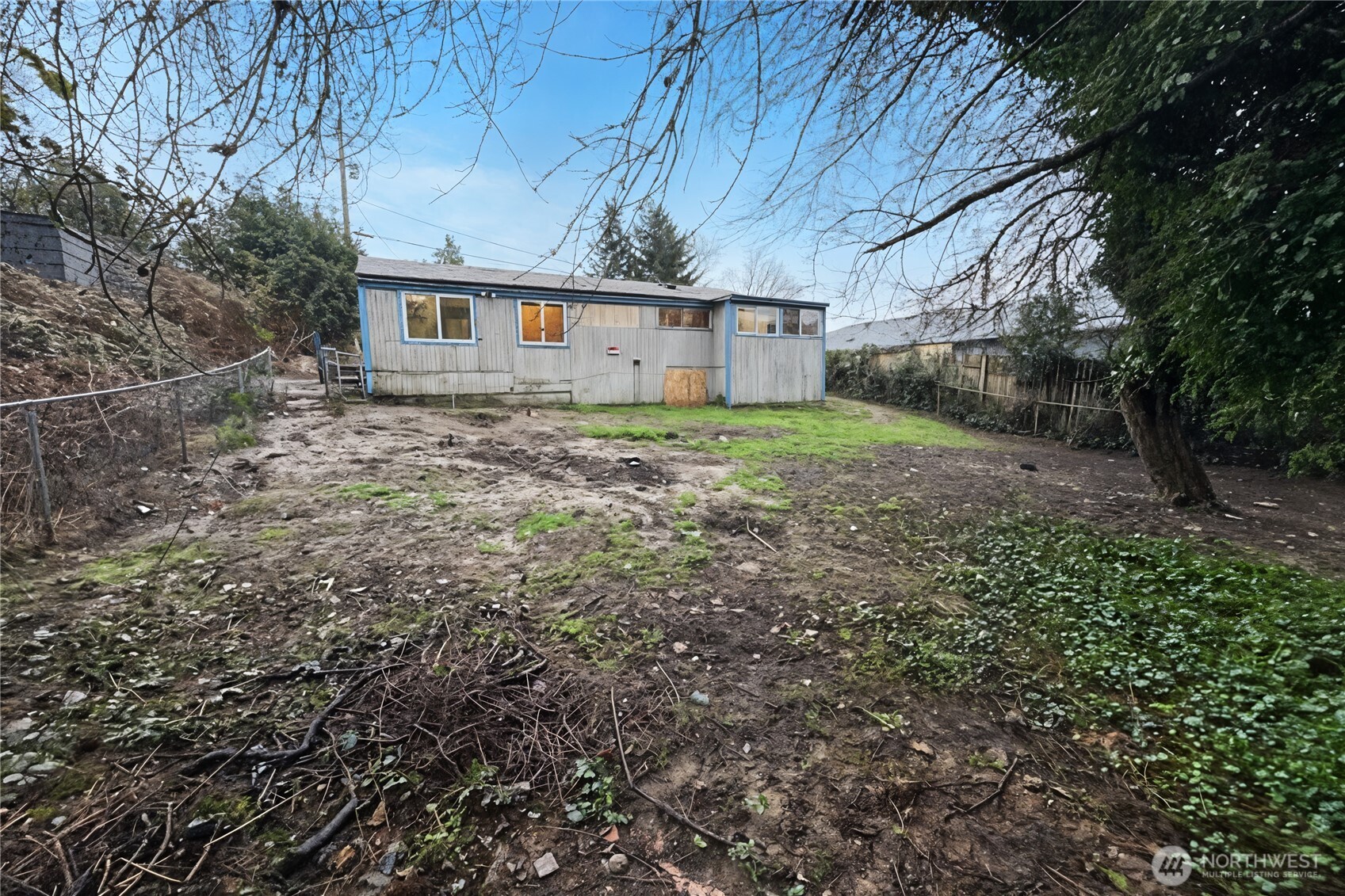 8915 10th Avenue South Seattle, WA 98108 - Photo 4 of 23 a view of a backyard with large trees