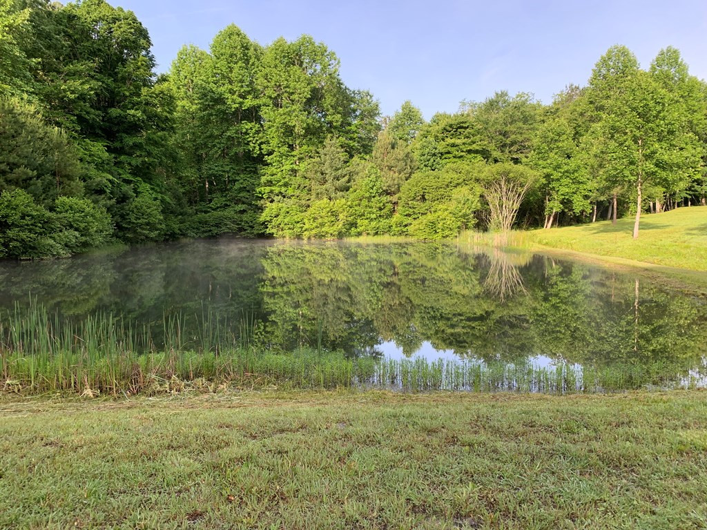 Lot 43 Kestrel Ridge Circle Murphy, NC 28906 - Photo 9 of 24 Gallery Image 9