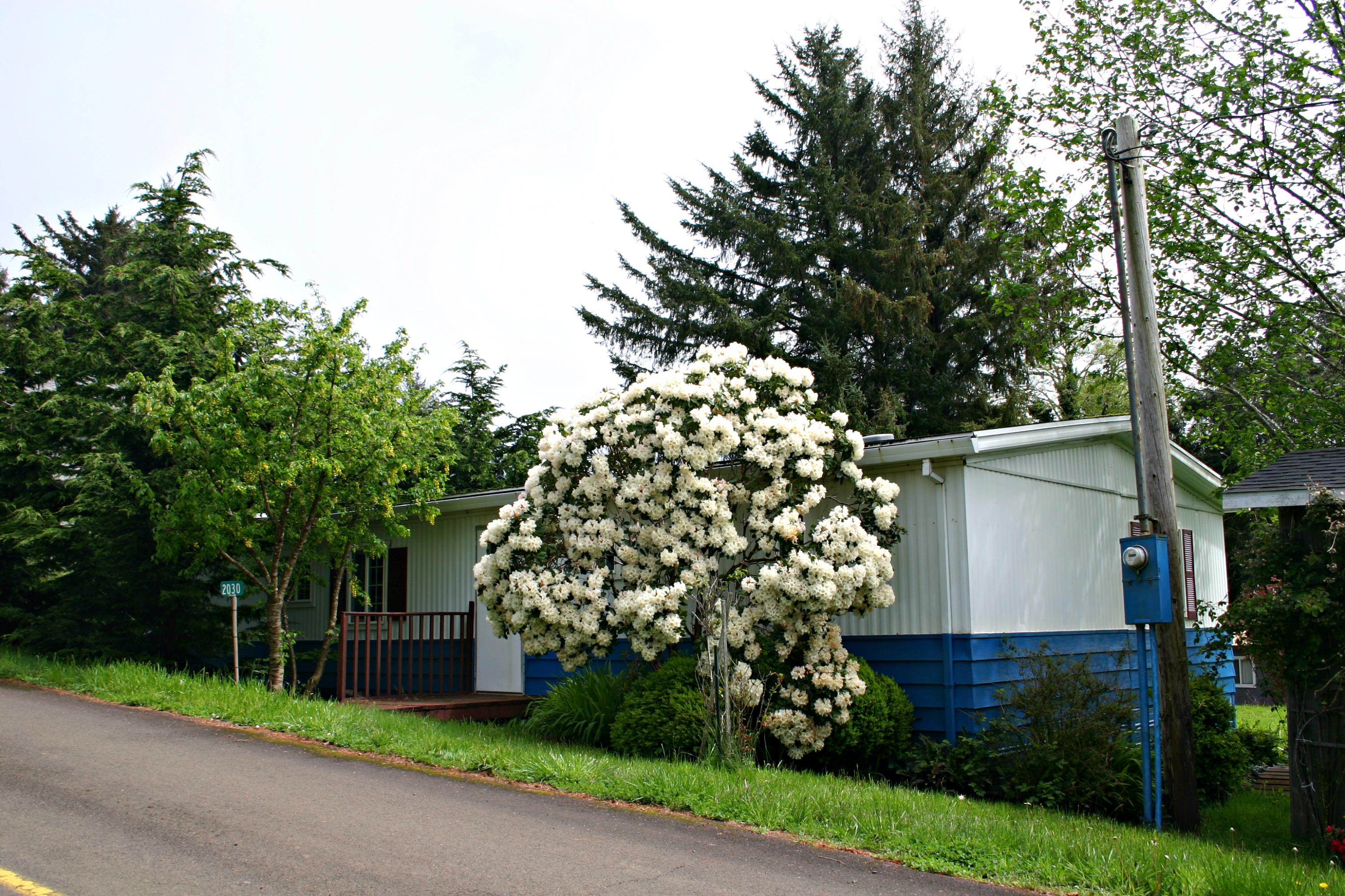 2030 Old Netarts Road West Tillamook, OR 97141 - Photo 47 of 49 Front of house from Old Netarts Rd