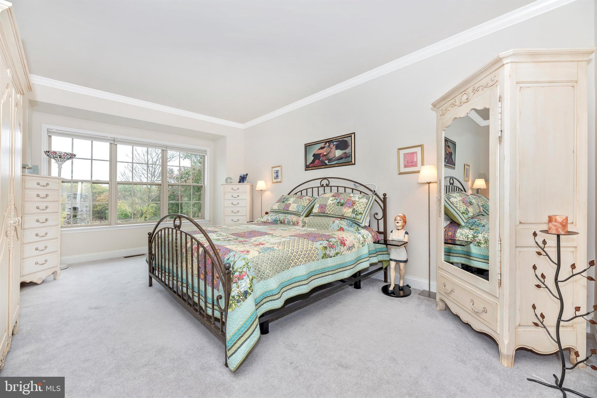 2513 Mill Race Road Frederick, MD 21701 - Photo 21 of 43 Master Bedroom looks out onto conservancy site.
