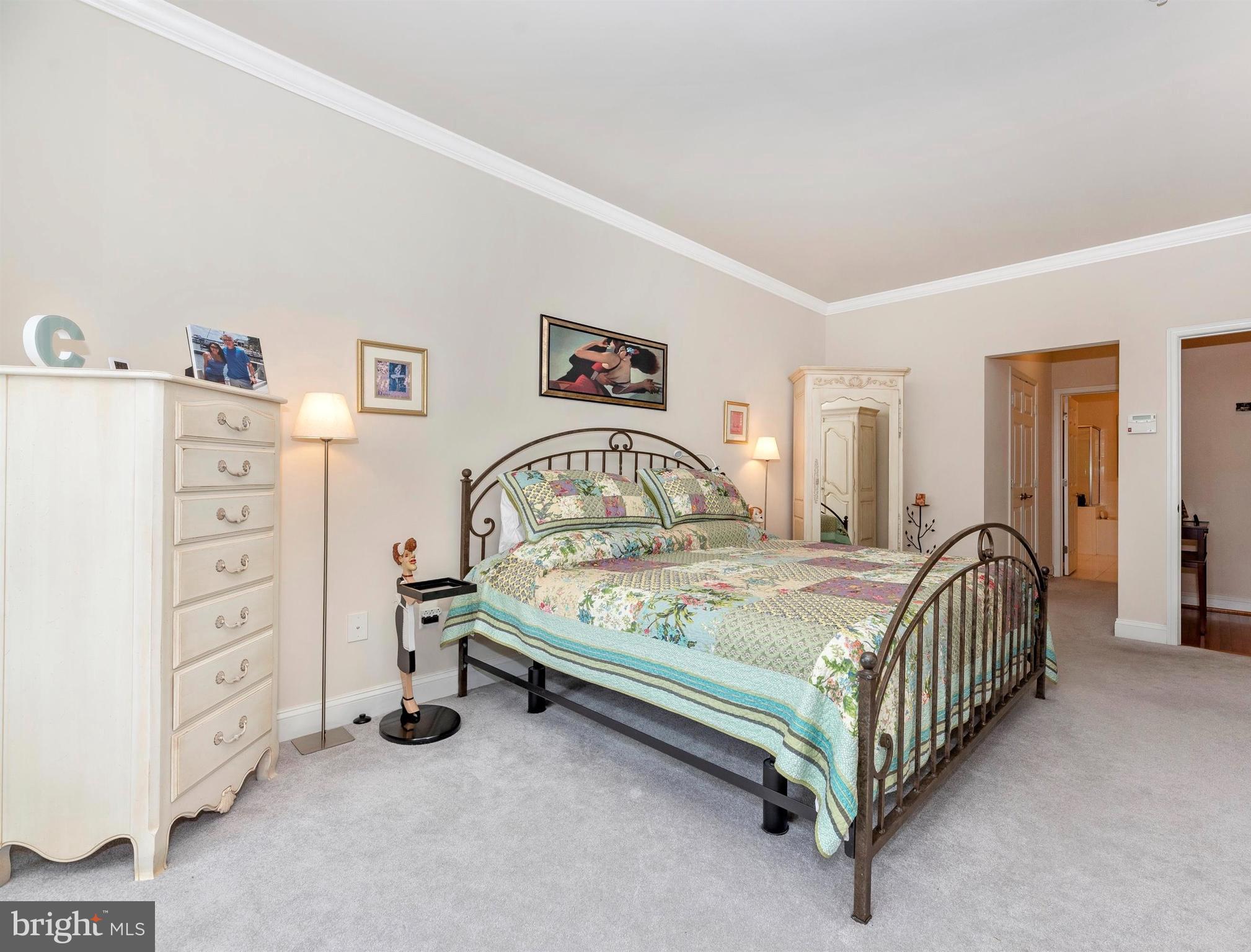 2513 Mill Race Road Frederick, MD 21701 - Photo 22 of 43 Main level master bedroom suite.