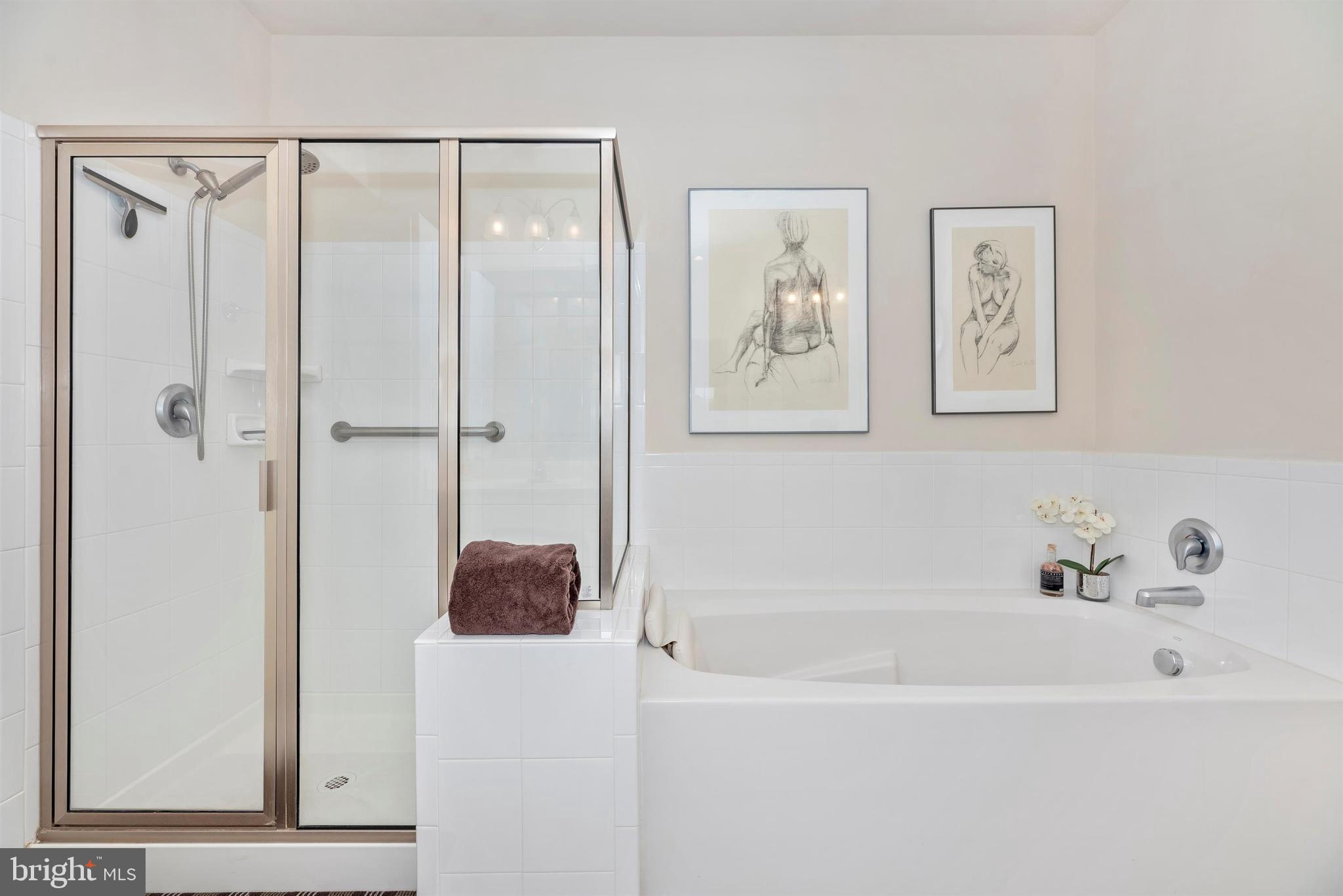 2513 Mill Race Road Frederick, MD 21701 - Photo 23 of 43 Master Bath has shower & soaking tub.