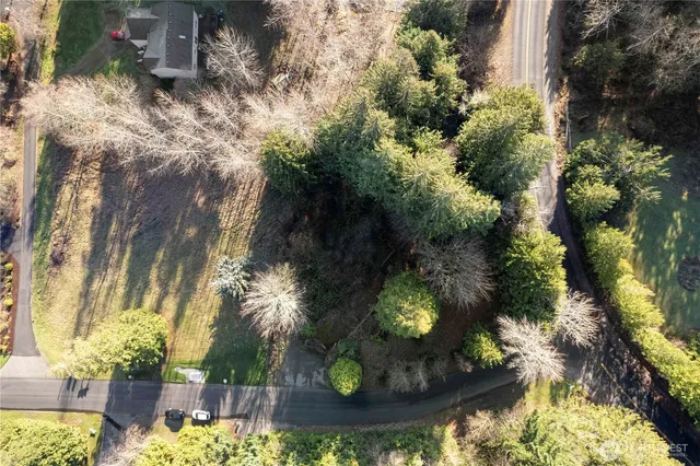 a view of a garden with flowers