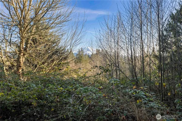 $249,500 | 16018 229th Street East, Graham, WA 98338