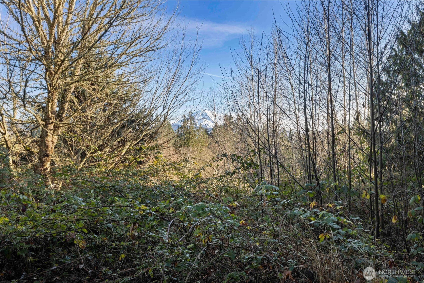 16018 229th Street East Graham, WA 98338 - Photo 7 of 10