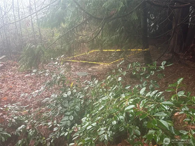 a view of a tennis court