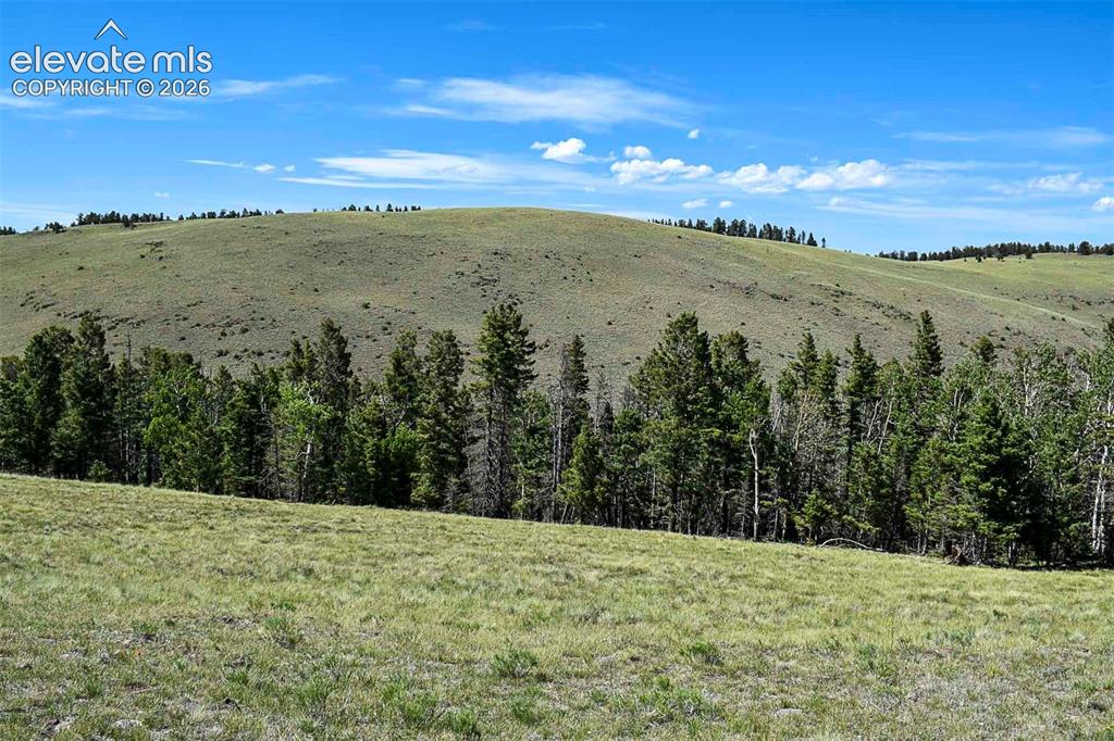 0 Bear Cat Road Guffey, CO 80820 - Photo 38 of 40