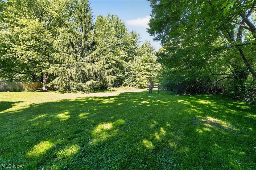 33062 Chestnut Ridge Road North Ridgeville, OH 44039 - Photo 38 of 49