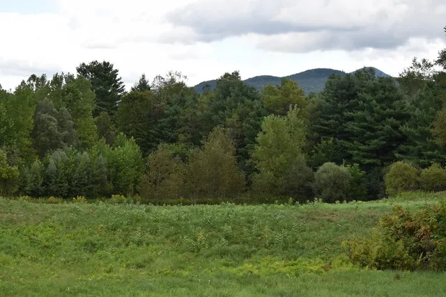 $99,500 | 0 McKinley Avenue, Unit 2A, Randolph, VT 05060