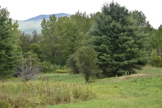 $99,500 | 0 McKinley Avenue, Unit 2A, Randolph, VT 05060