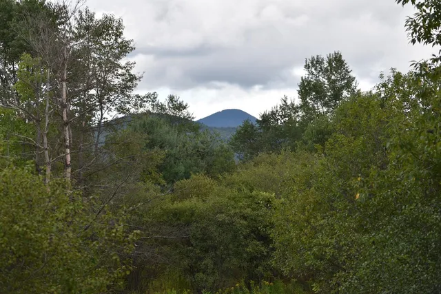 $99,500 | 0 McKinley Avenue, Unit 2A, Randolph, VT 05060