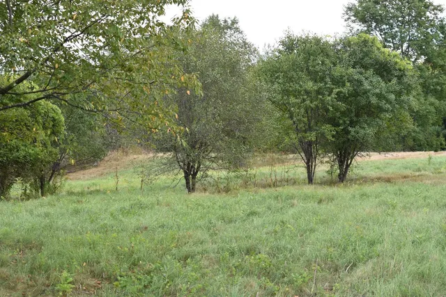 $99,500 | 0 McKinley Avenue, Unit 2A, Randolph, VT 05060