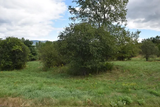$99,500 | 0 McKinley Avenue, Unit 2A, Randolph, VT 05060