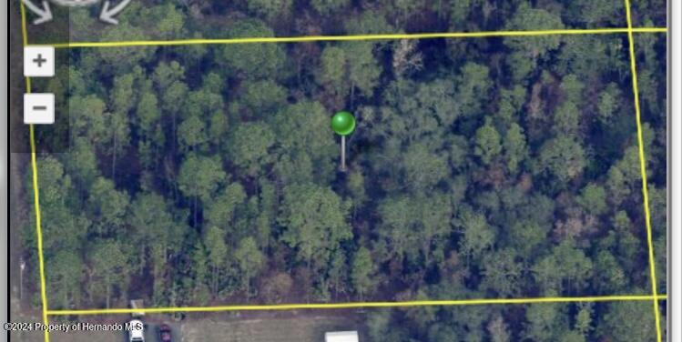 17334 Nutcracker Road Weeki Wachee, FL 34614 - Photo 2 of 6 a view of a forest from a balcony