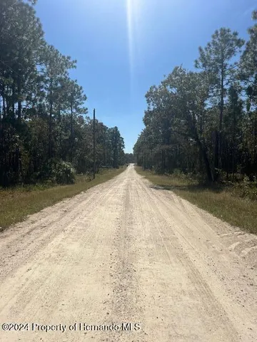 a view of backyard with green space