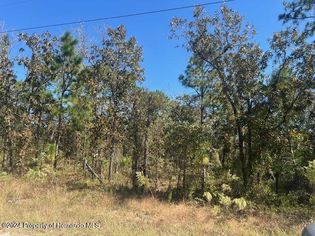 17334 Nutcracker Road Weeki Wachee, FL 34614 - Photo 6 of 6 a view of a yard