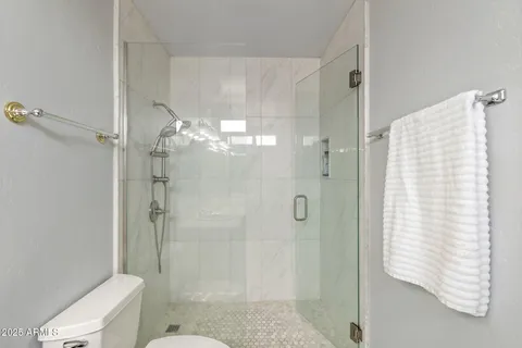 a bathroom with a shower and toilet