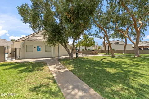 a view of a park with tree s