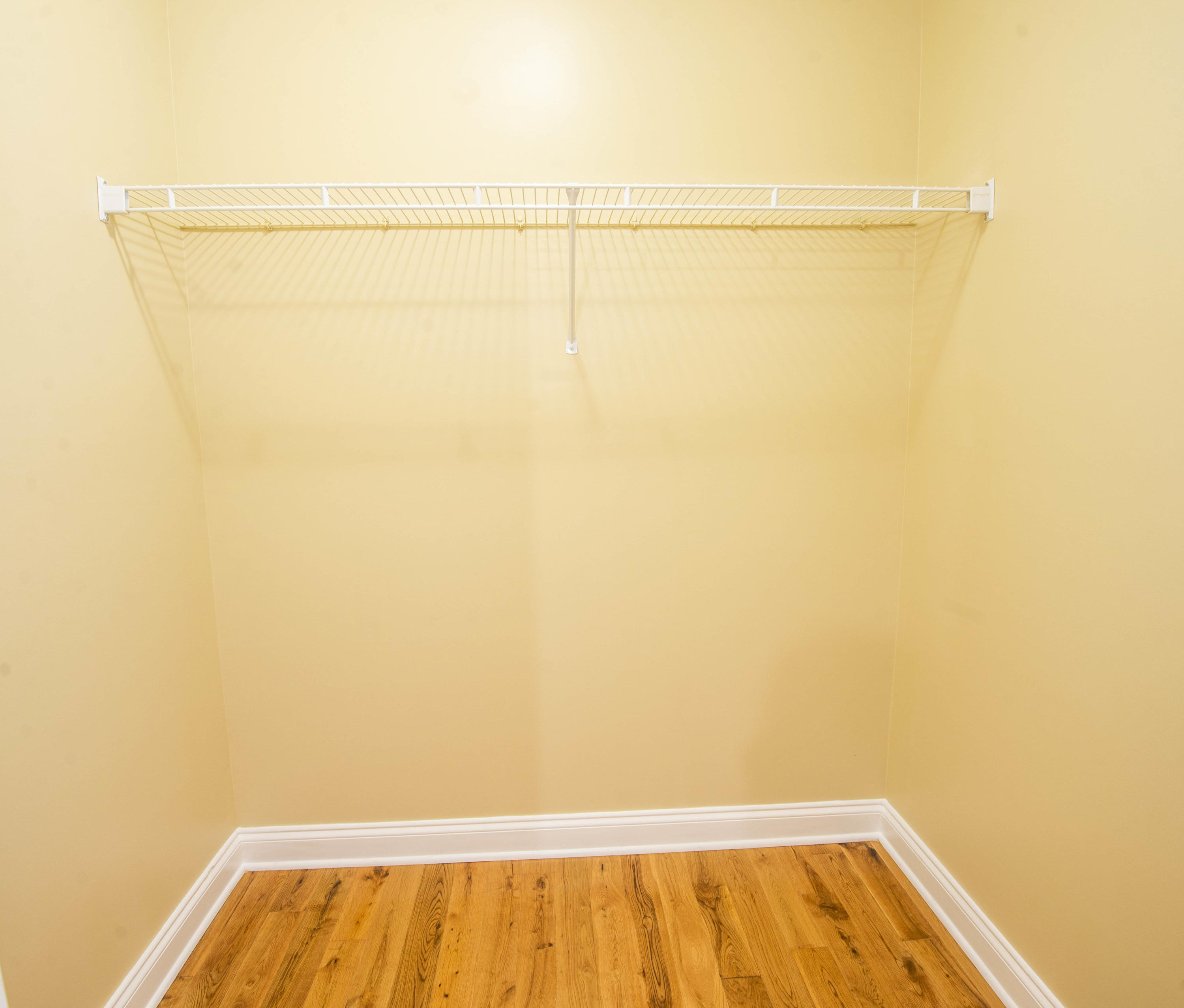 1384 Wineberry Road Powell, TN 37849 - Photo 33 of 40 Closet_1