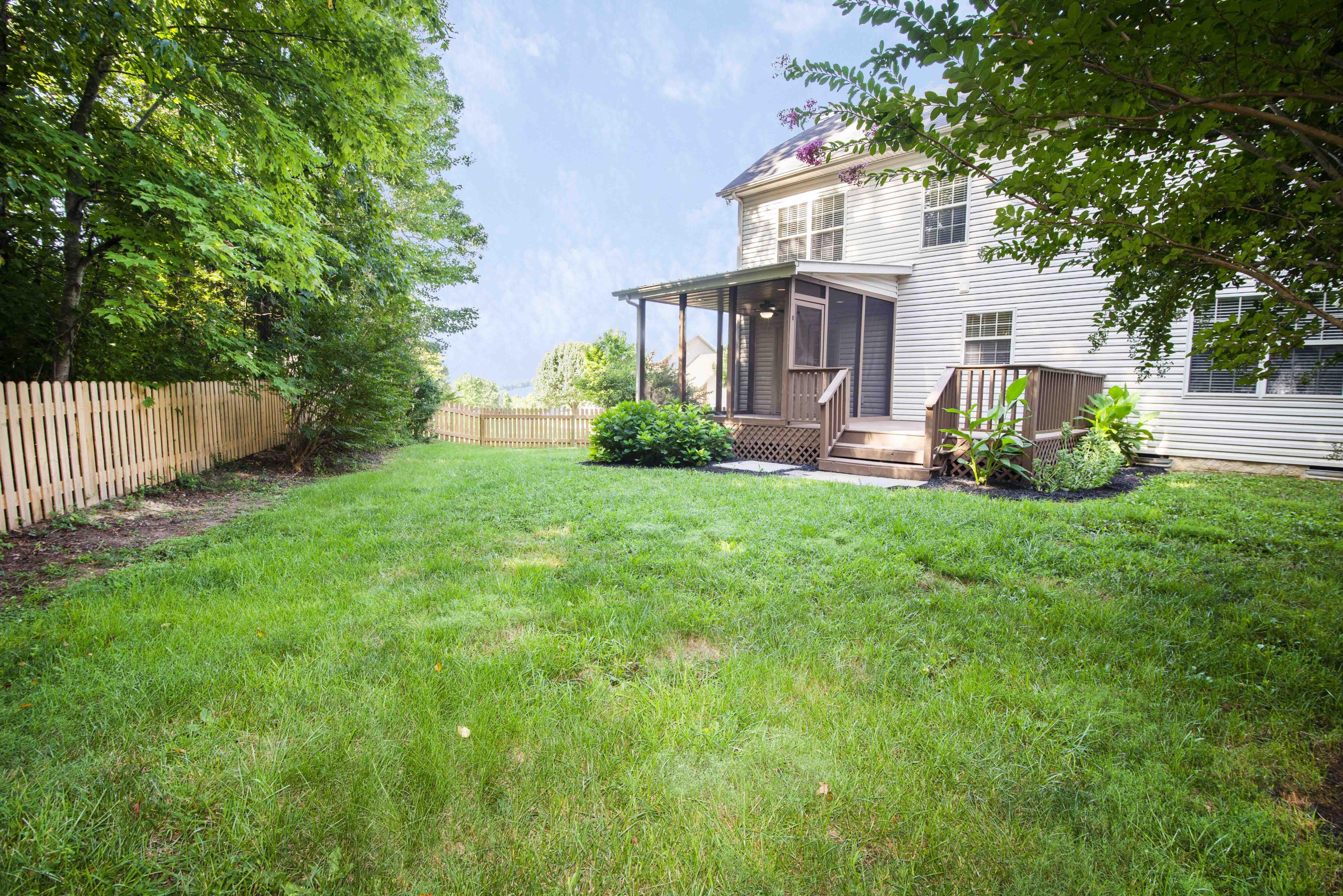1384 Wineberry Road Powell, TN 37849 - Photo 40 of 40 Backyard 1_1