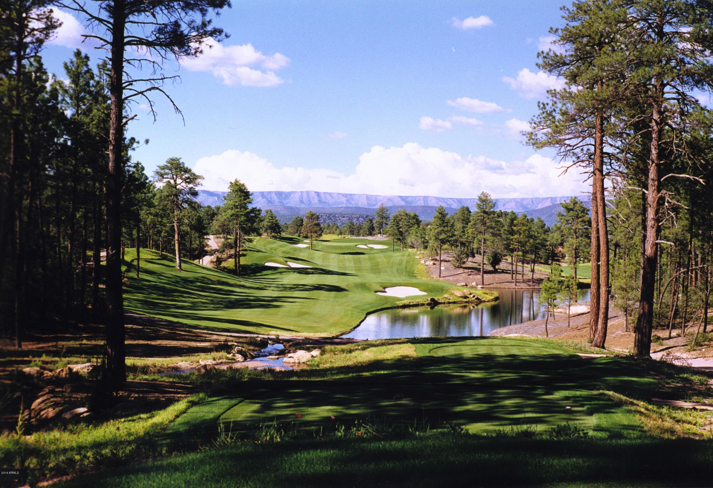 3003 East Arrow Point Payson, AZ 85541 - Photo 29 of 36 a view of a lake with houses