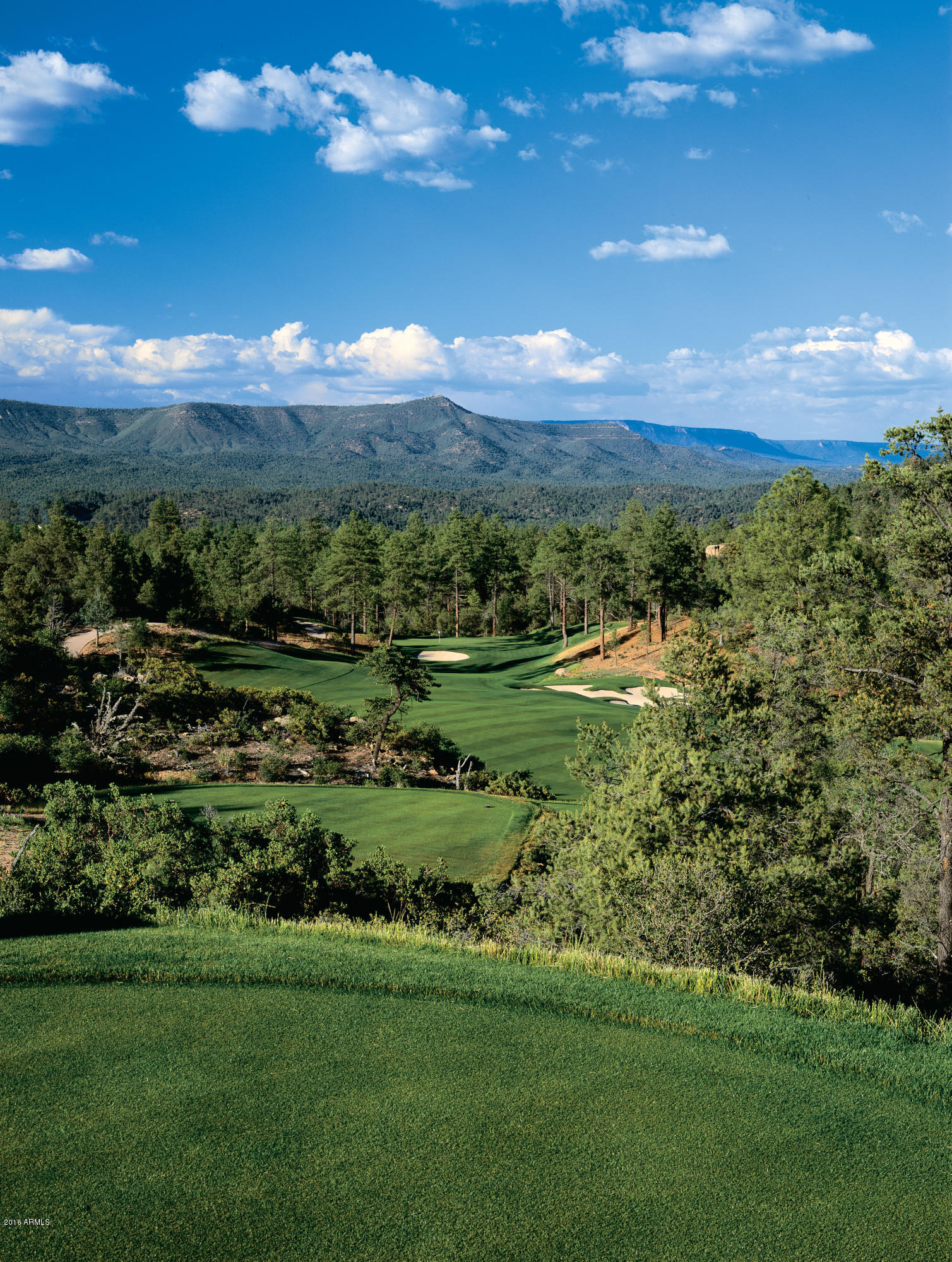 3003 East Arrow Point Payson, AZ 85541 - Photo 32 of 36 a view of a golf course with a lake
