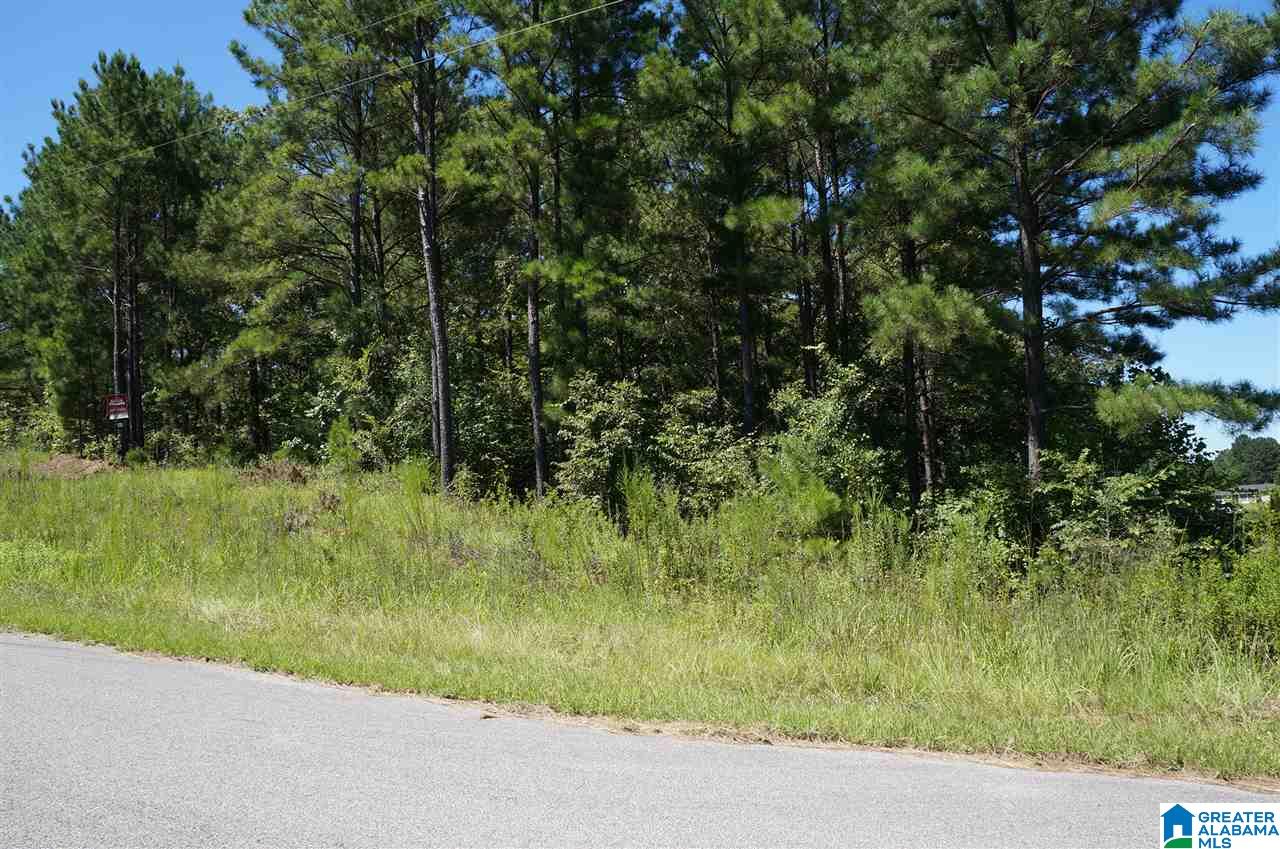 190 Castaway Road, Unit LOT 190 Sylacauga, AL 35151 - Photo 3 of 6