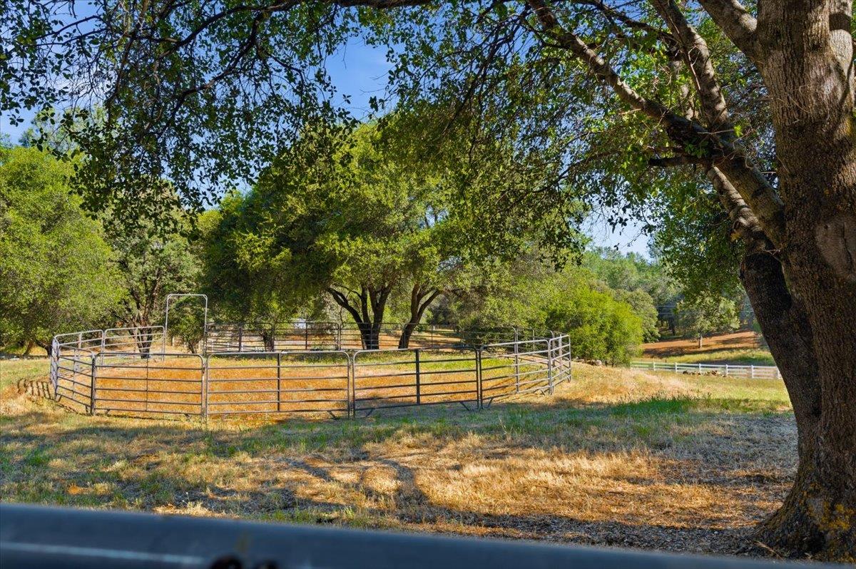 22233 McCourtney Road Grass Valley, CA 95949 - Photo 74 of 89